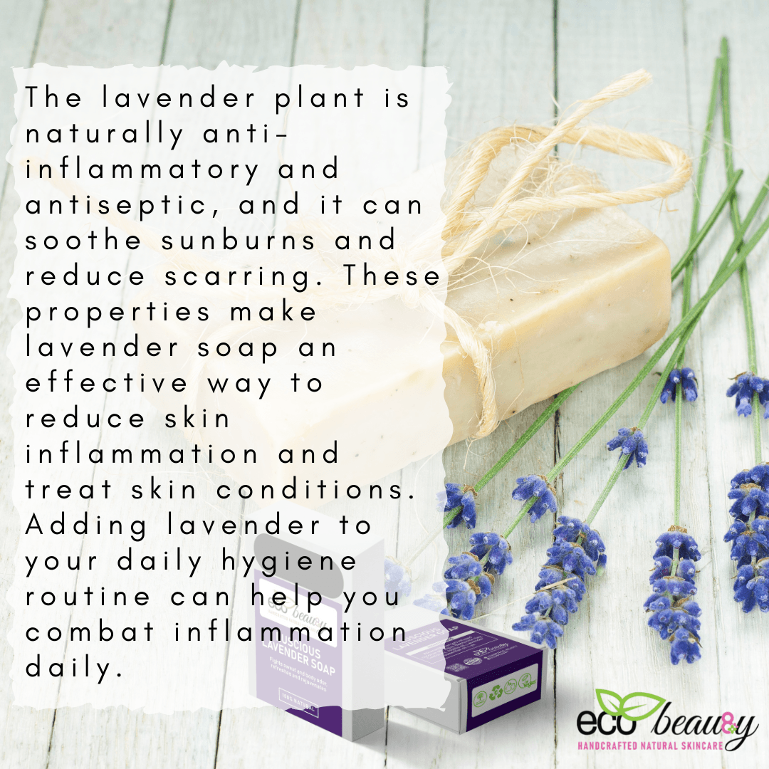 Luscious Lavender Handcrafted Organic Soap ecobeau8y